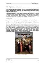 Referāts 'Hieronīms Boss', 13.