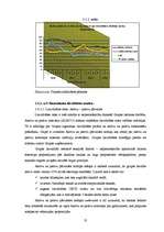 Referāts 'Hansabankas finansiālās darbības rezultātu analīze', 55.