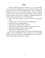 Prakses atskaite 'Prakses atskaite', 3.