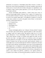 Prakses atskaite 'Prakses atskaite', 7.