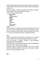 Prakses atskaite 'Ražošanas prakses atskaite SIA "Fazer maiznīca"', 11.