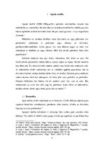 Referāts 'Saimniecība neolītā', 4.