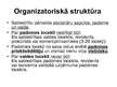 Prezentācija 'Apdrošināšanas uzņēmuma AS "Dienvidi" dibināšana un reģistrācija', 12.