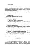 Konspekts 'Pārskats par organizāciju teorijām', 2.