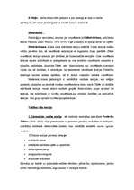 Konspekts 'Pārskats par organizāciju teorijām', 4.