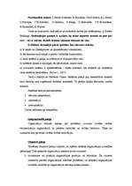 Konspekts 'Pārskats par organizāciju teorijām', 8.