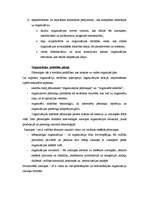 Konspekts 'Pārskats par organizāciju teorijām', 9.