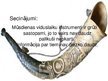 Prezentācija 'Viduslaiku instrumenti', 11.