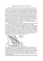 Eseja 'Bandwagon and Snob Effects in My Life', 1.