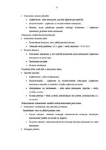 Prakses atskaite 'Prakses atskaite finanšu grāmatvedībā', 17.