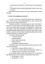 Prakses atskaite 'Prakses atskaite finanšu grāmatvedībā', 19.