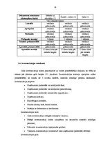 Prakses atskaite 'Prakses atskaite finanšu grāmatvedībā', 38.