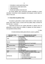 Prakses atskaite 'Prakses atskaite finanšu grāmatvedībā', 39.