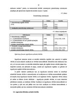 Prakses atskaite 'Prakses atskaite finanšu grāmatvedībā', 46.