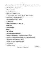 Prakses atskaite 'Prakses atskaite finanšu grāmatvedībā', 91.