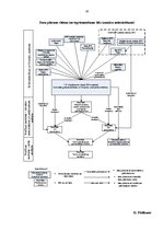 Prakses atskaite 'Prakses atskaite finanšu grāmatvedībā', 95.
