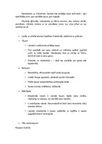 Konspekts 'Reiņa un Matīsa Kaudzīšu romāna "Mērnieku laiki" analīze', 2.