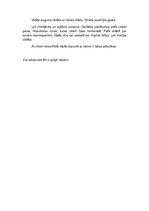 Konspekts 'Reiņa un Matīsa Kaudzīšu romāna "Mērnieku laiki" analīze', 5.