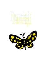 Referāts 'Tauriņi', 1.