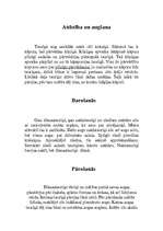 Referāts 'Tauriņi', 3.