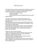 Konspekts 'Konvekcijas krāsns', 1.