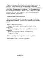 Konspekts 'Konvekcijas krāsns', 13.