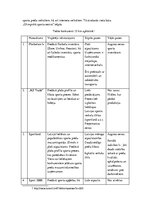 Biznesa plāns 'Sporta inventāra mazumtirdzniecība', 5.