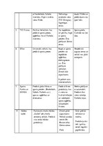 Biznesa plāns 'Sporta inventāra mazumtirdzniecība', 6.