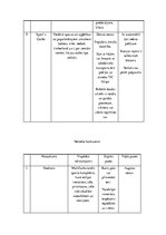 Biznesa plāns 'Sporta inventāra mazumtirdzniecība', 7.