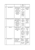 Biznesa plāns 'Sporta inventāra mazumtirdzniecība', 8.