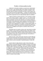 Biznesa plāns 'Sporta inventāra mazumtirdzniecība', 11.