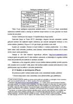 Referāts 'Videonovērošanas sistēmu produkcijas mārketings un virzīšana Latvijas tirgū ', 13.