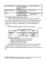 Referāts 'Videonovērošanas sistēmu produkcijas mārketings un virzīšana Latvijas tirgū ', 19.