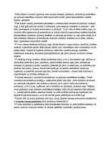 Referāts 'Videonovērošanas sistēmu produkcijas mārketings un virzīšana Latvijas tirgū ', 23.