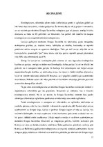 Referāts 'Eiroskepticisms Latvijā', 13.