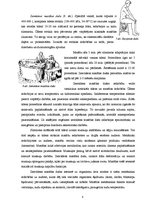 Referāts 'Hidroterapija. Ārstniecisko dušu pielietošana fizikālajā medicīnā', 8.