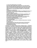 Referāts 'Ārvalstu konstitucionālās tiesības', 7.