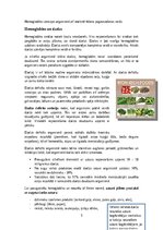 Referāts 'Hemoglobīns un mioglobīns – skābekļa transportproteīni', 6.