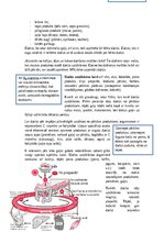 Referāts 'Hemoglobīns un mioglobīns – skābekļa transportproteīni', 7.