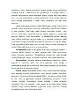 Referāts 'Bērnu sensorā audzināšana, specifika bērnu darbības veidos', 3.