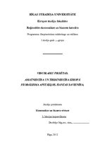 Konspekts 'Viduslaiku pilsētas. Amatniecība un tirdzniecība Eiropā feodālisma apstākļos. Ha', 1.