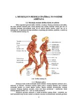 Diplomdarbs 'Stiepšanās vingrinājumu ietekme uz rezultātu airēšanā', 6.