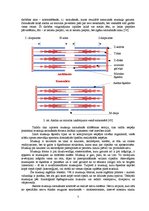 Diplomdarbs 'Stiepšanās vingrinājumu ietekme uz rezultātu airēšanā', 7.