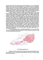 Diplomdarbs 'Stiepšanās vingrinājumu ietekme uz rezultātu airēšanā', 8.
