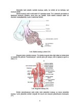 Diplomdarbs 'Stiepšanās vingrinājumu ietekme uz rezultātu airēšanā', 9.