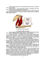 Diplomdarbs 'Stiepšanās vingrinājumu ietekme uz rezultātu airēšanā', 11.