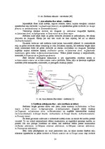 Diplomdarbs 'Stiepšanās vingrinājumu ietekme uz rezultātu airēšanā', 14.