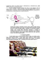 Diplomdarbs 'Stiepšanās vingrinājumu ietekme uz rezultātu airēšanā', 15.