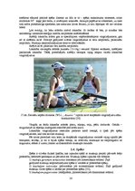 Diplomdarbs 'Stiepšanās vingrinājumu ietekme uz rezultātu airēšanā', 26.