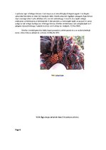 Konspekts 'Globālās sasilšanas ietekme uz sēņu, vīrusu un baktēriju slimību izplatību egļu ', 8.